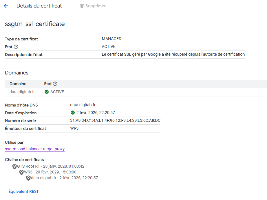 Create a Google-managed SSL certificate